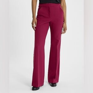 Express Women's Burgundy Pants